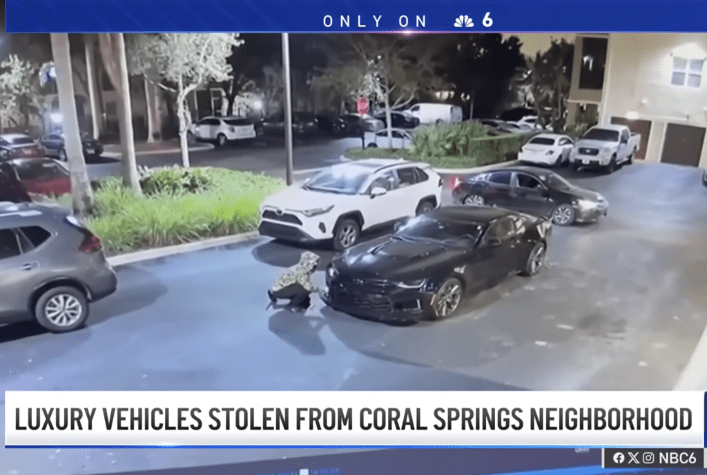 Coral Springs Car Thieves